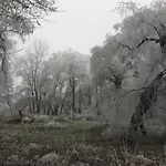 Konukevi Prima Vendeghaz